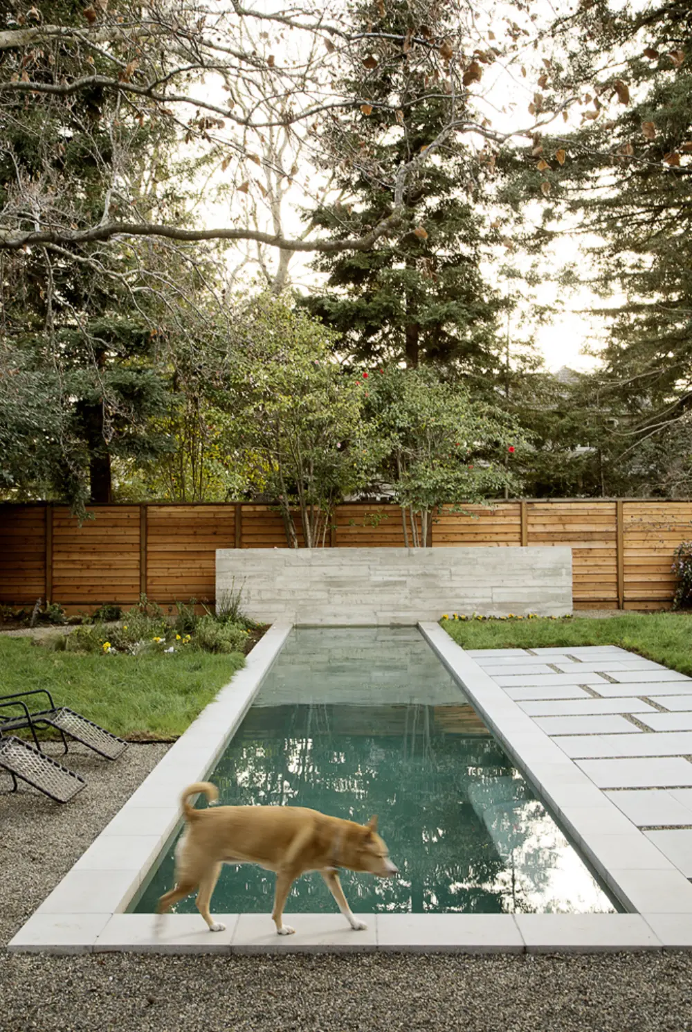image of butler-armsden-bigelow-pool.jpg