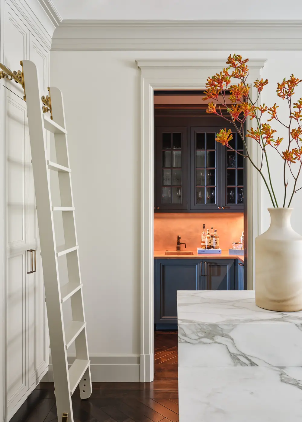 image of butler-armsden-green-street-residence-kitchen-ladder.jpg