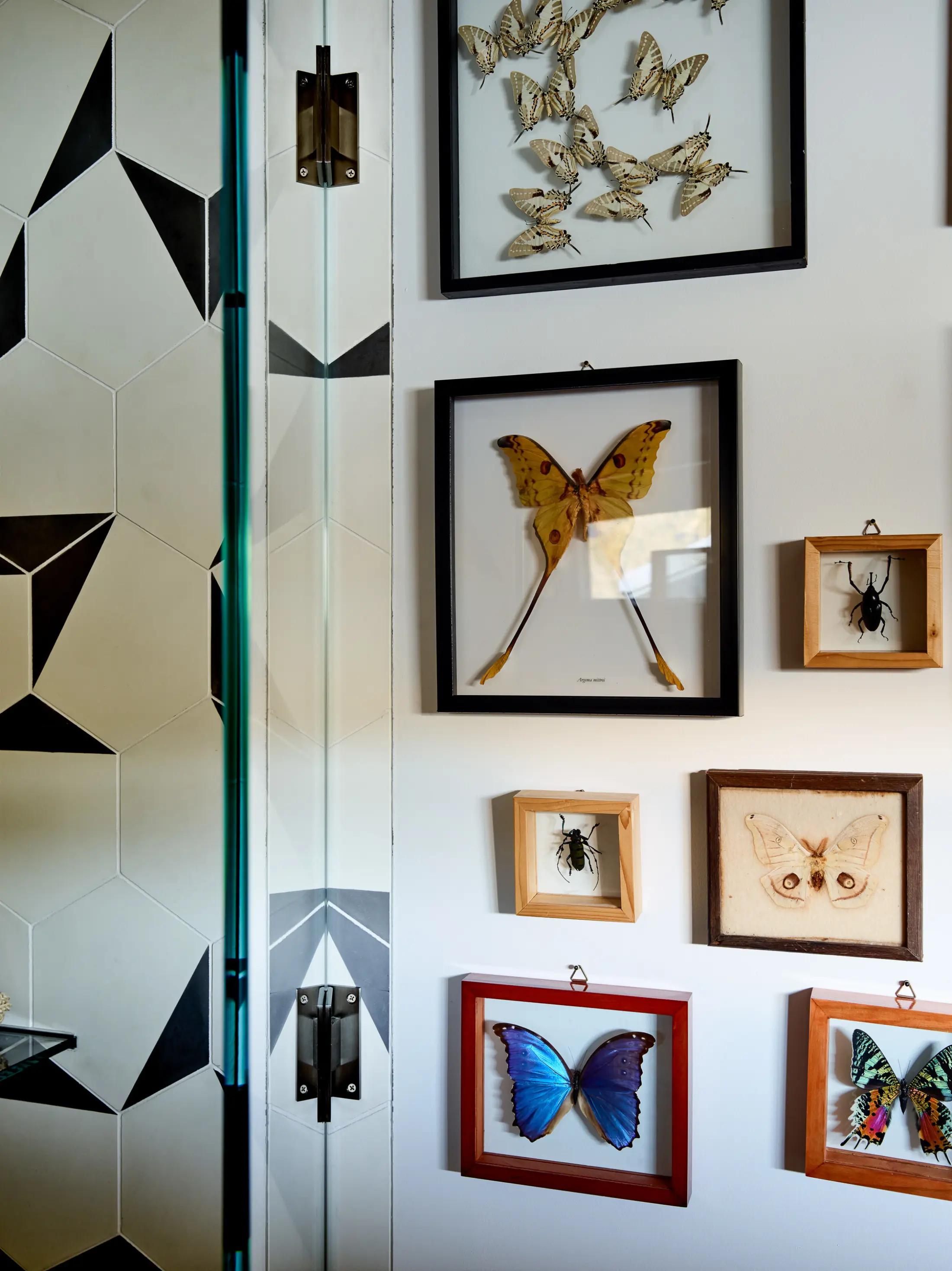 image of butler-armsden-inlet-house-butterfly-wall-decor.jpg