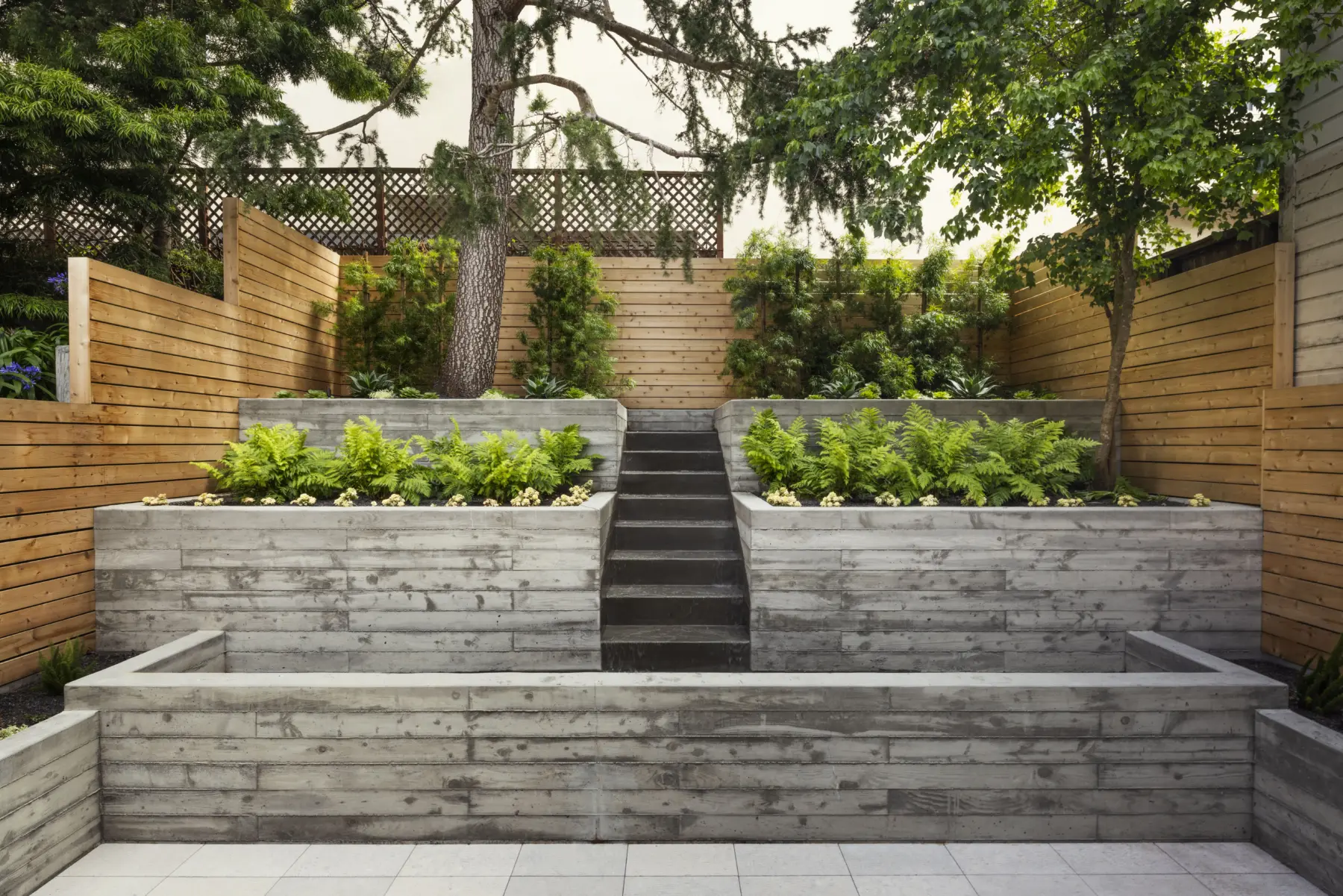 image of butler-armsden-sibling-reverie-backyard.jpg