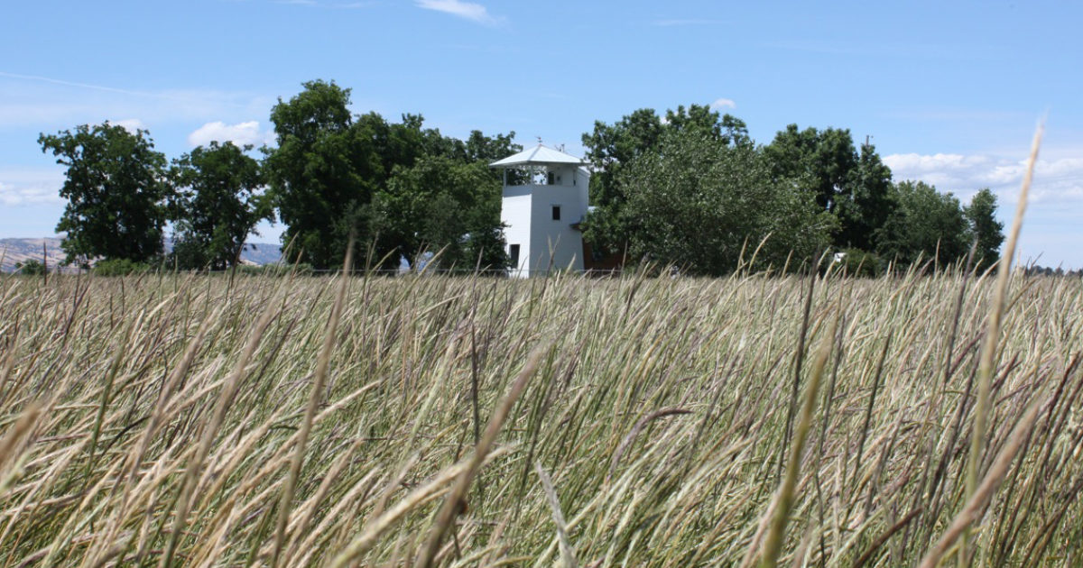 Butler Armsden Architects Yolo County Cabin