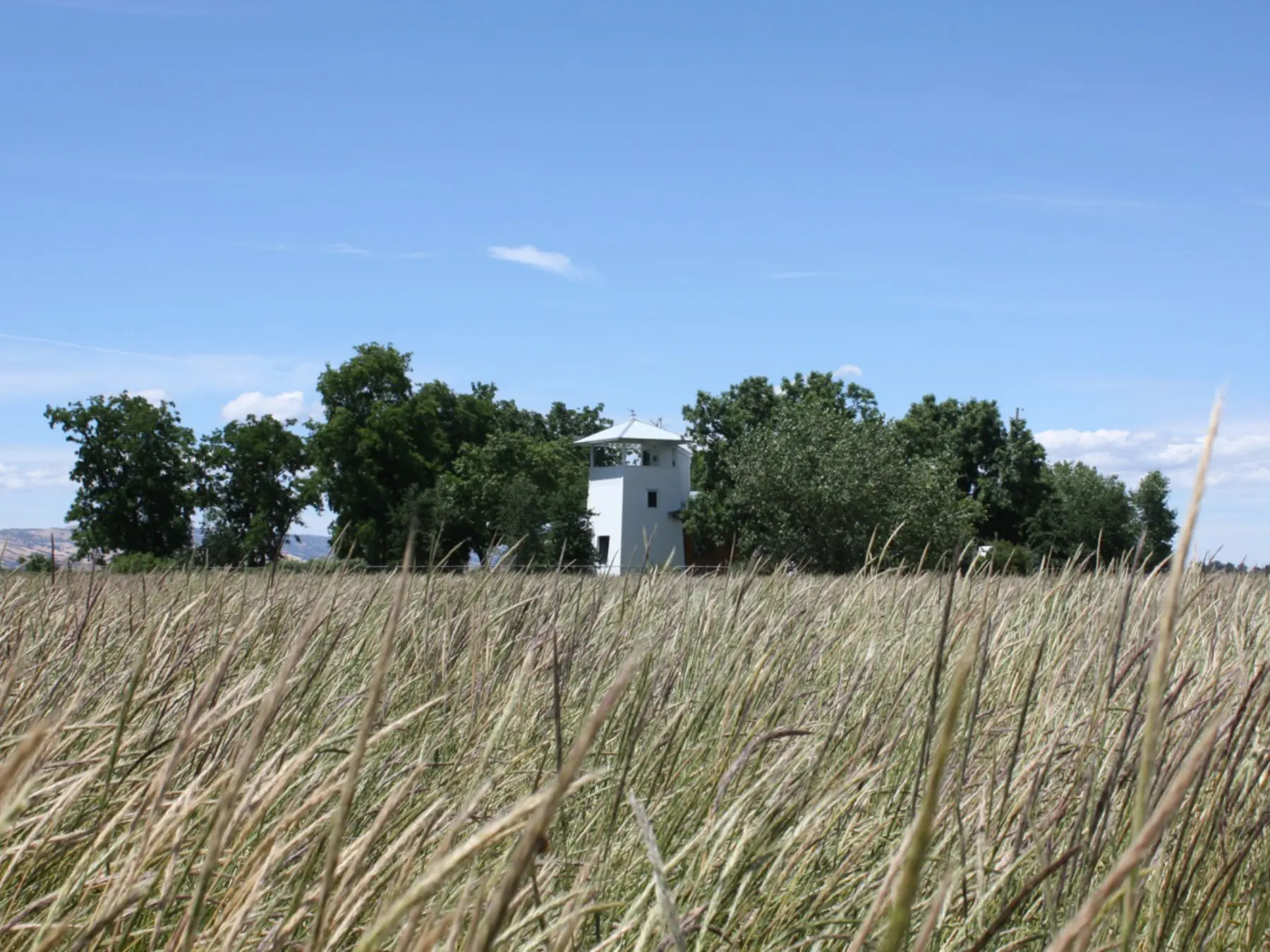 Small white cabin with overlook tower amonst fields of farmland grasses